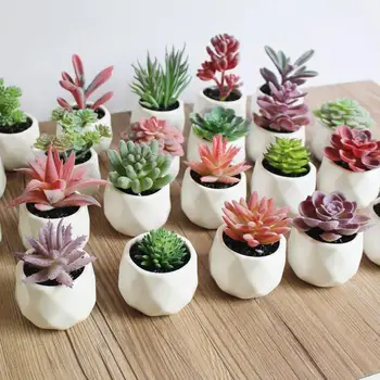Mini Elavat Cactus Mahlakad Kodu Aia Kaunistamiseks Kunstlik Bonsai Taime Vaas Office Tabel Decor Siseruumides Võltsitud Taimed
