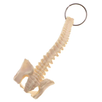 Mini Suurusega Uudsus Inimese Skelett, Selg Mudel Võtmerõngast Haridus-Tarvikud