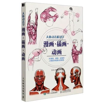 Inimese Keha Joonistamine Tehnikat, Raamatuid Inimeste Dünaamiline Anatoomia : Koomiksid, Illustrator, Animatsioon Libros Livros